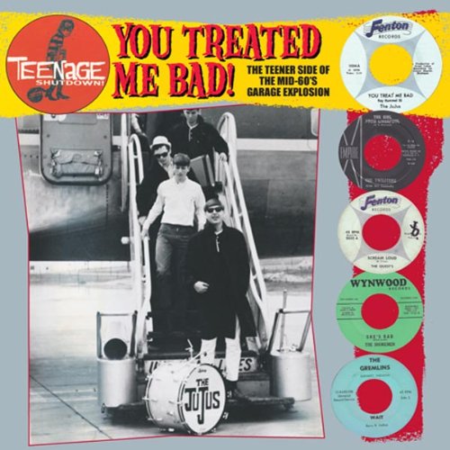 Various Artists - You Treated Me Bad! (The Teener Side Of The Mid 60's Garage Explosion)  [VINYL]