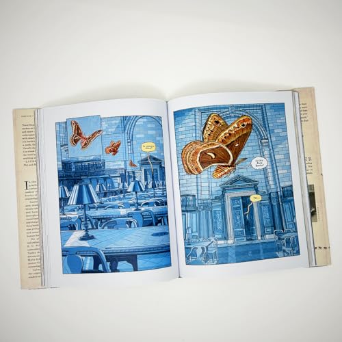 Insectopolis : A Natural History