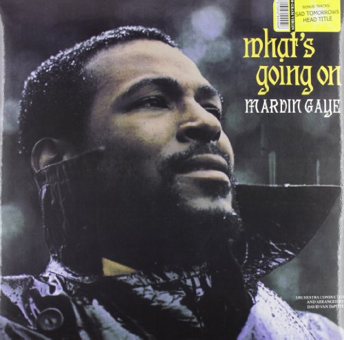 Gaye,marvin - What's Going On [VINYL]
