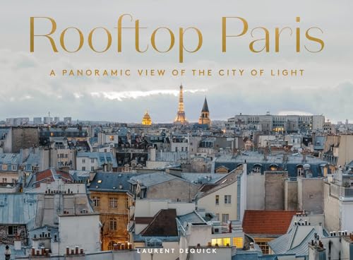 Rooftop Paris: A Panoramic View of the City of Light