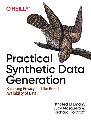 Practical Synthetic Data Generation : Balancing Privacy and the Broad Availability of Data