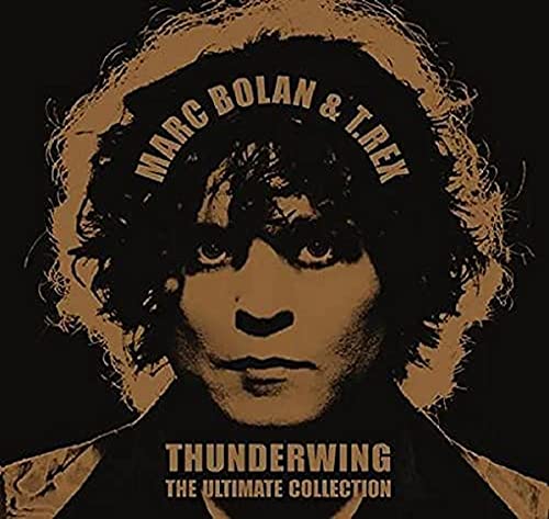 Marc Bolan & T. Rex - Thunderwing - The Ultimate Collection  [VINYL]