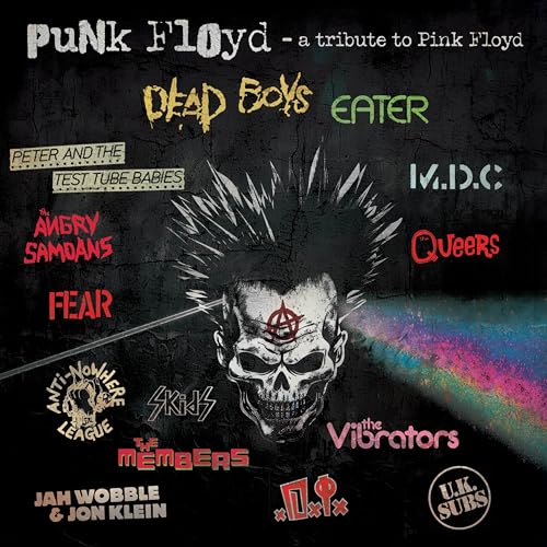 Various Artists - Punk Floyd - A Tribute To Pink [VINYL]