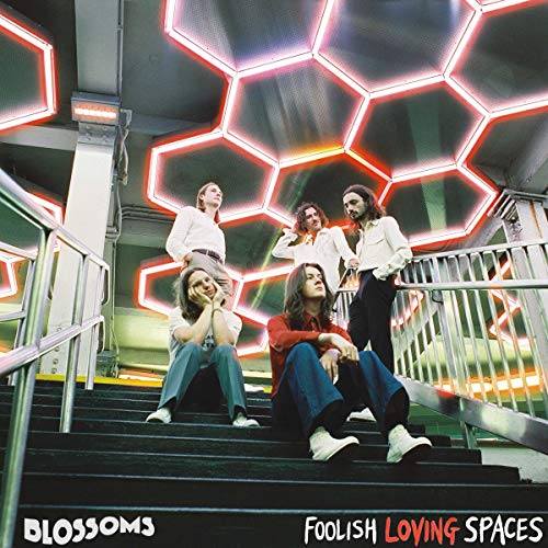 Blossoms - Foolish Loving Spaces [VINYL]