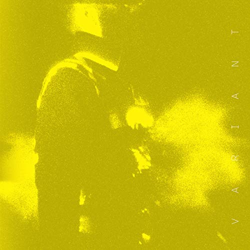 Various - V A R I A N T [12"] [VINYL]