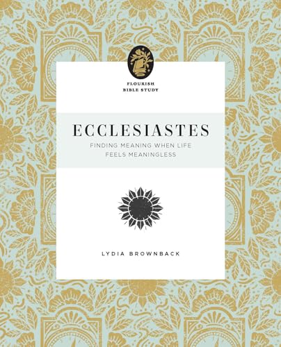 Ecclesiastes : Finding Meaning When Life Feels Meaningless