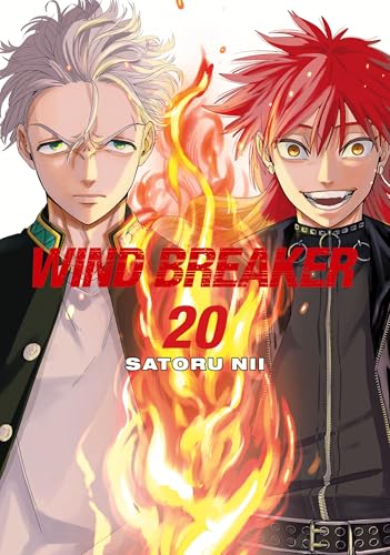 Manga cover featuring two young men with flames between them.