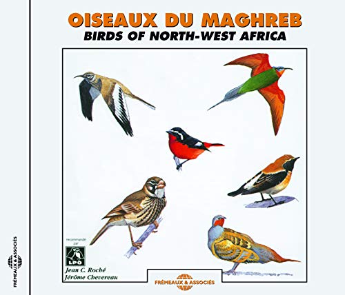 Birds Of North-west Africa - Oiseaux Du Maghreb (Birds Of N.W. Africa) [CD]