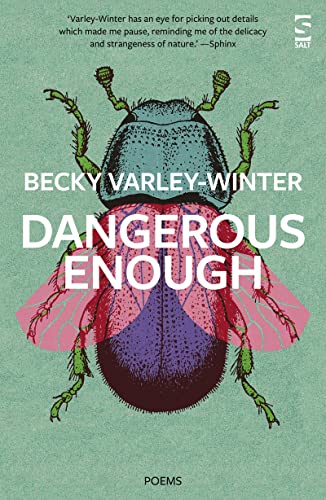 Dangerous Enough (Salt Modern Poets)