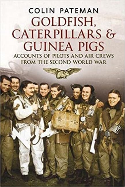 Goldfish Caterpillars & Guinea Pigs : Accounts of Pilots and Air Crews from World War II