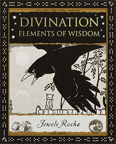 Book cover featuring a black crow and a small cat with the title Divination.