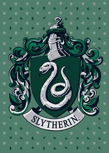 Harry Potter: Slytherin Embellished Card (HP Card Embellished)