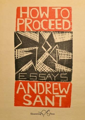 How to Proceed : Essays