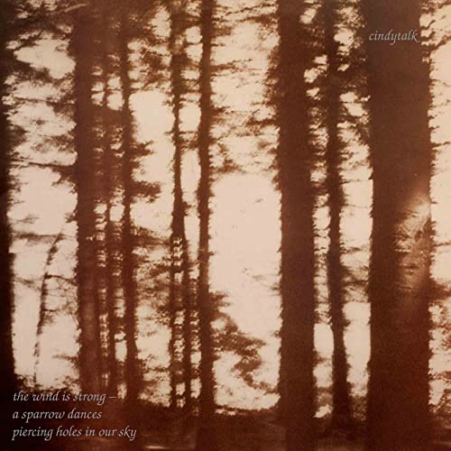 Cindytalk - The Wind Is Strong... [CD]