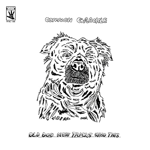 Common Grackle - Old Dog New Tricks Who This [VINYL]