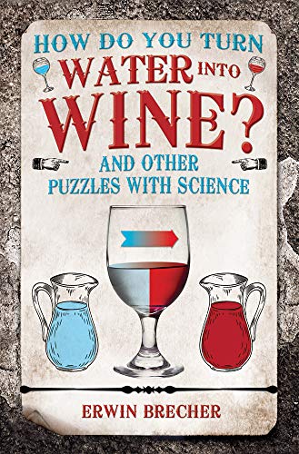 How Do You Turn Water into Wine? (Puzzle Books)