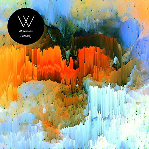 Man Without Country - Maximum Entropy [VINYL]