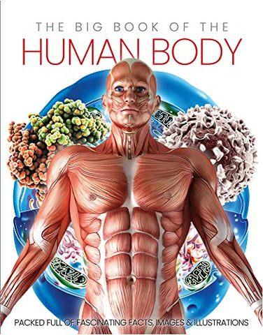 The Big Book Of The Human Body