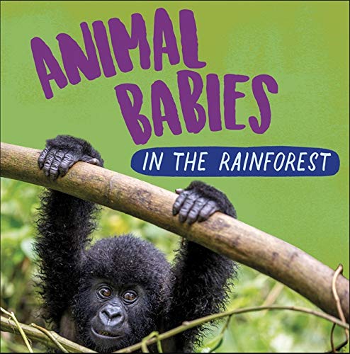 In the Rainforest (Animal Babies)