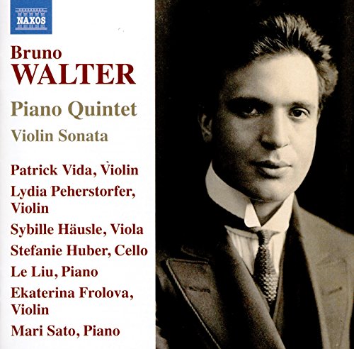 Liu/vida/hausle/huber - Walterpiano Quintet [CD]