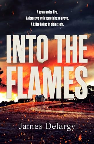 Into the Flames : The scorching new summer thriller