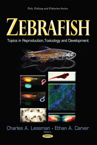 Zebrafish