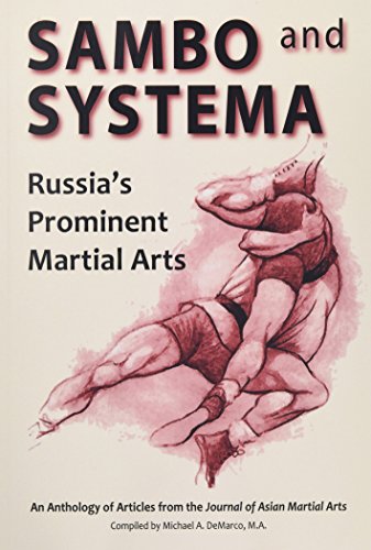 Image of a book cover featuring martial arts, likely with Russian cultural elements.