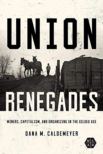 Union Renegades : Miners, Capitalism, and Organizing in the Gilded Age