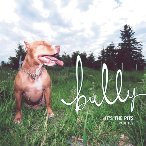 Bully: Its the Pits