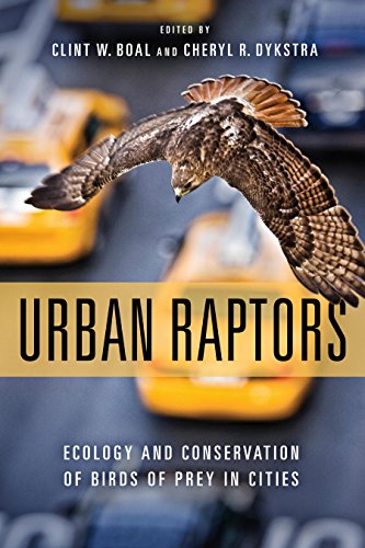 A hawk flies over city traffic on the cover of the book Urban Raptors.