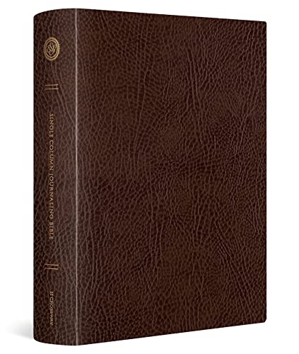 ESV Single Column Journaling Bible, Large Print