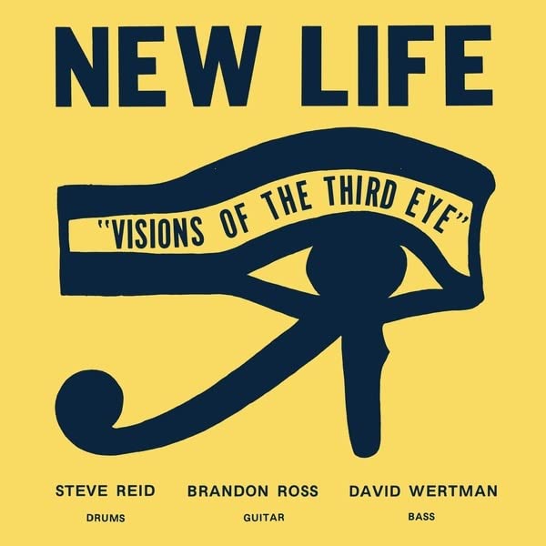 New Life Trio - Visions Of The Third Eye [VINYL]