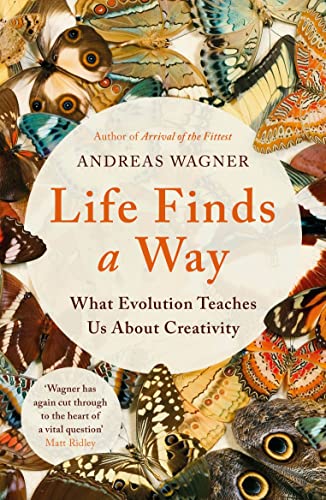 Life Finds a Way: What Evolution Teaches Us About Creativity