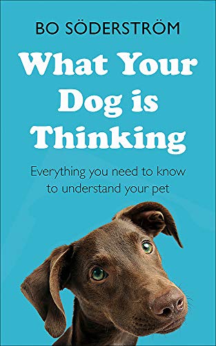 What Your Dog Is Thinking: Everything you need to know to understand your pet