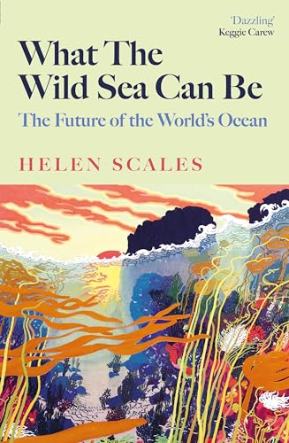 What the Wild Sea Can Be : Shortlisted for the Women's Prize for Nonfiction