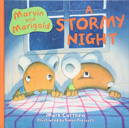 Book cover: two cartoon mice in bed, looking at a stormy window.