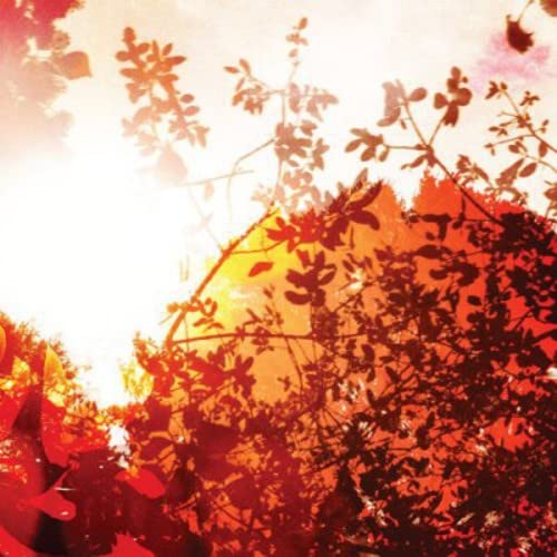 Bvdub - All Is Forgiven [CD]