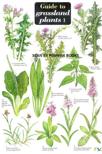 A Key to Grassland Plants 1