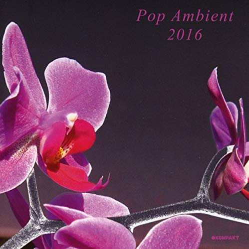 V/a Electronic - Pop Ambient 2016 [CD]