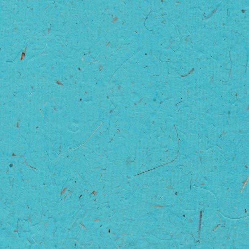 6x6 Posh Pig White Paper 35lvs Sky Banana