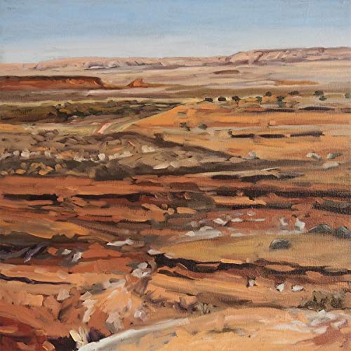 Possum Moods - Northern Times  [VINYL]