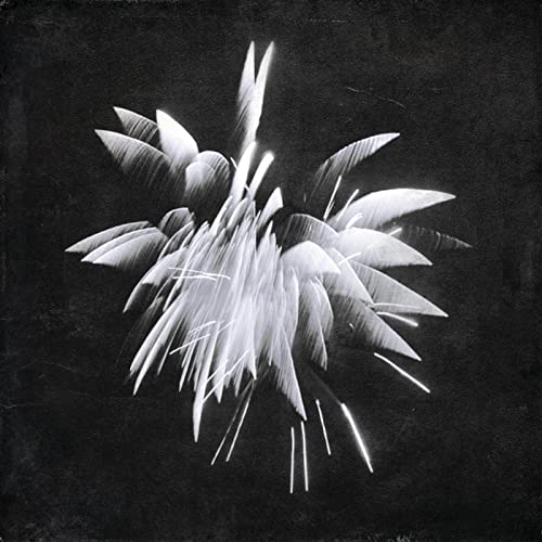 Brent Windler - New Morning Howl [VINYL]