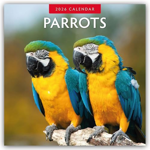 Parrots 2026 Square Wall Calendar