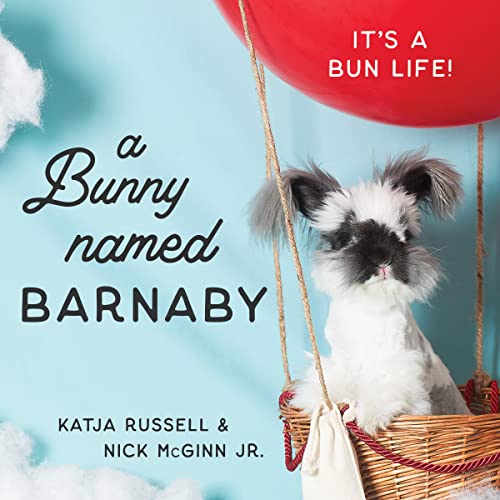 A Bunny Named Barnaby: Its a Bun Life