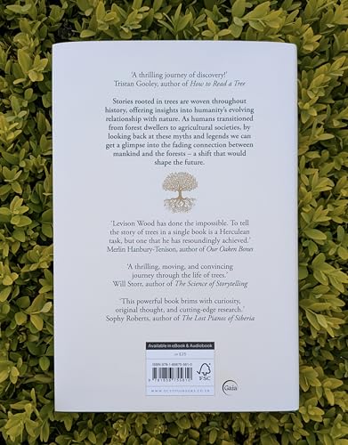 The Great Tree Story