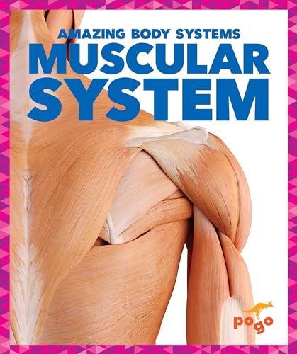 Muscular System