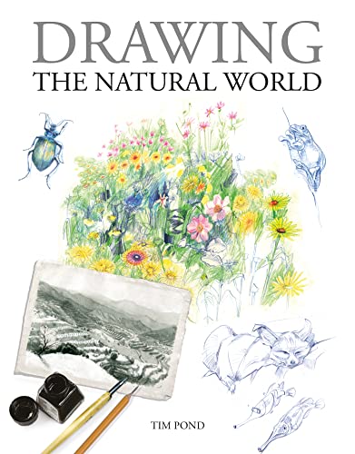 Book cover featuring botanical illustrations, insects, and sketching tools.