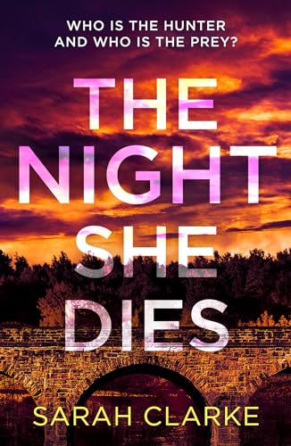 Book cover: "The Night She Dies" with fiery sky and stone bridge.