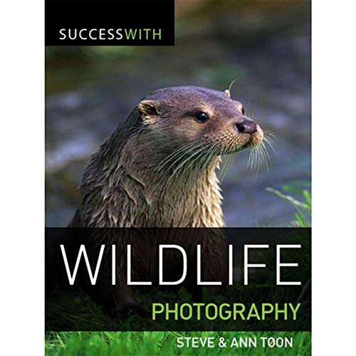 Success with Wildlife Photography