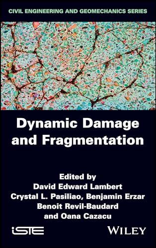 Dynamic Damage and Fragmentation